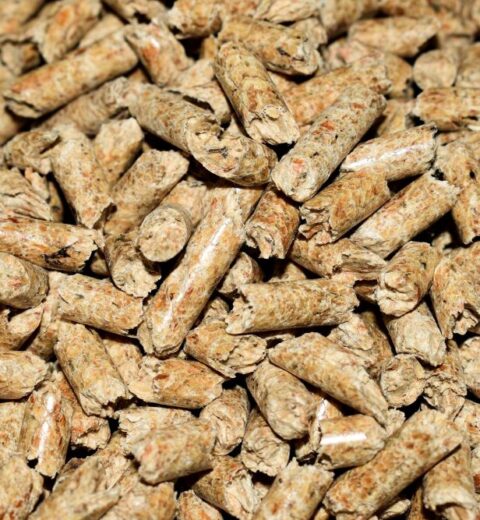 Stufe a pellet angolari: un angolo di calore ecologico. Caratteristiche e costi