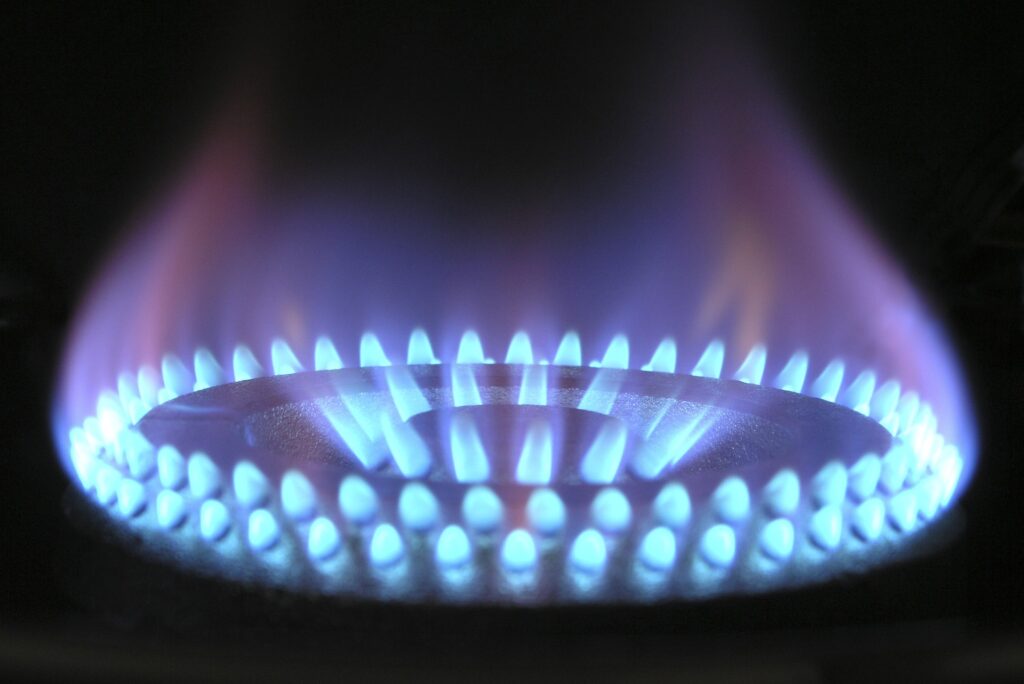 Cucinare evitando l’uso del gas: ecco quali stufe acquistare